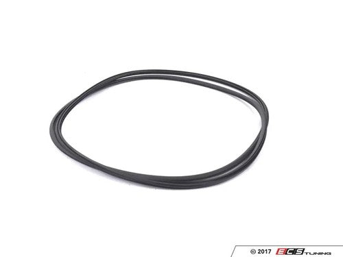 BMW Sunroof seal 54137344553