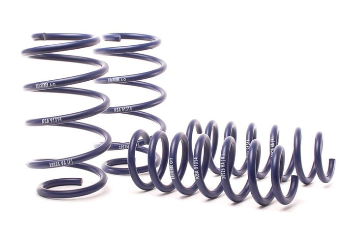 H&R 28926-1 lowering springs for the BMW X3 (F25, G01) and X4 (F26, G02)
