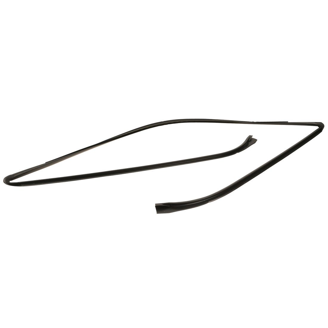 BMW Windshield seal / molding 51317008911