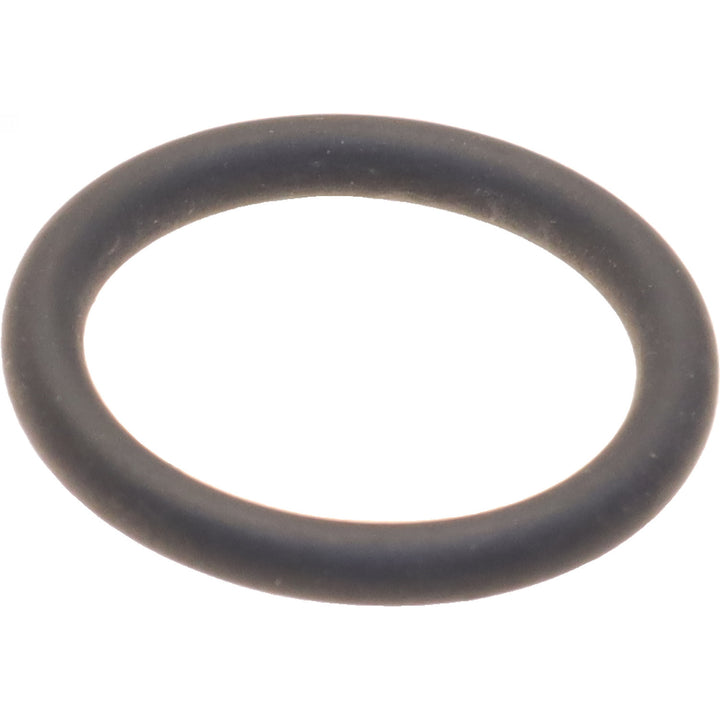 Genuine BMW vent o-ring, BMW 07119906360