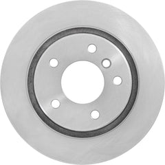 Rear Brake Rotor — BMW E46 325i/328i — OE 34216864056