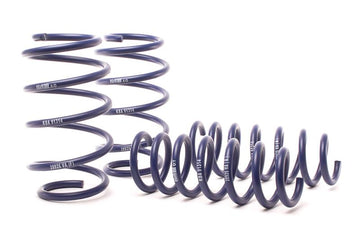 H&R 28926-1 lowering springs for the BMW X3 (F25, G01) and X4 (F26, G02)