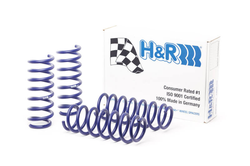 H&R 28947-1 lowering springs for the BMW F10 5 Series and F06 6 Series Gran Coupe