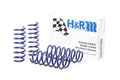 H&R 28947-1 lowering springs for the BMW F10 5 Series and F06 6 Series Gran Coupe
