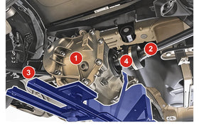 BMW differential output seals