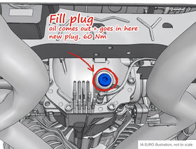 G20 differential fluid change