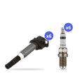 What's in the box: BMW M54/M56 Ignition Coil and Spark Plug Kit 2003-2007: 6 Delphi GN10571 Coils, 6 Bosch FGR7DQP+ Spark Plugs