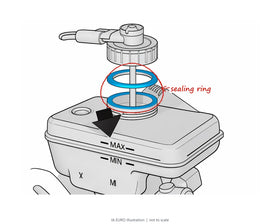 N55 brake fluid flush