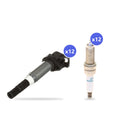 What's in the box: BMW N74 Ignition Coil and Spark Plug Kit 2019-2020: 12 Delphi GN10571 Coils, 12 Denso SXB24HCF-D7 Spark Plugs
