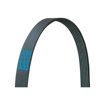 Dayco 5080580 serpentine belt, BMW 11287628659