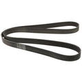 ContiTech 8PK1786 serpentine belt, BMW 11287628658