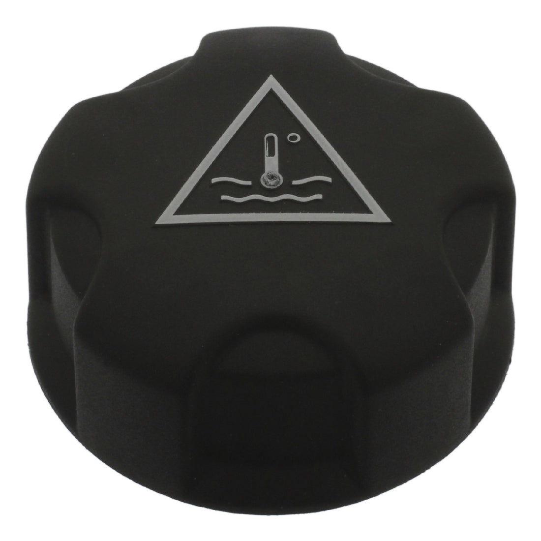 BMW Auxiliary reservoir screw plug / cap 17135A1BD89