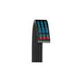 Dayco 5070730 serpentine belt, BMW 11287628652
