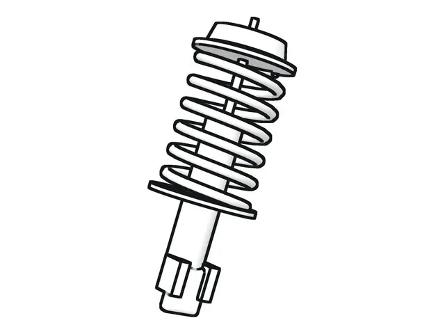 Strut with coil spring